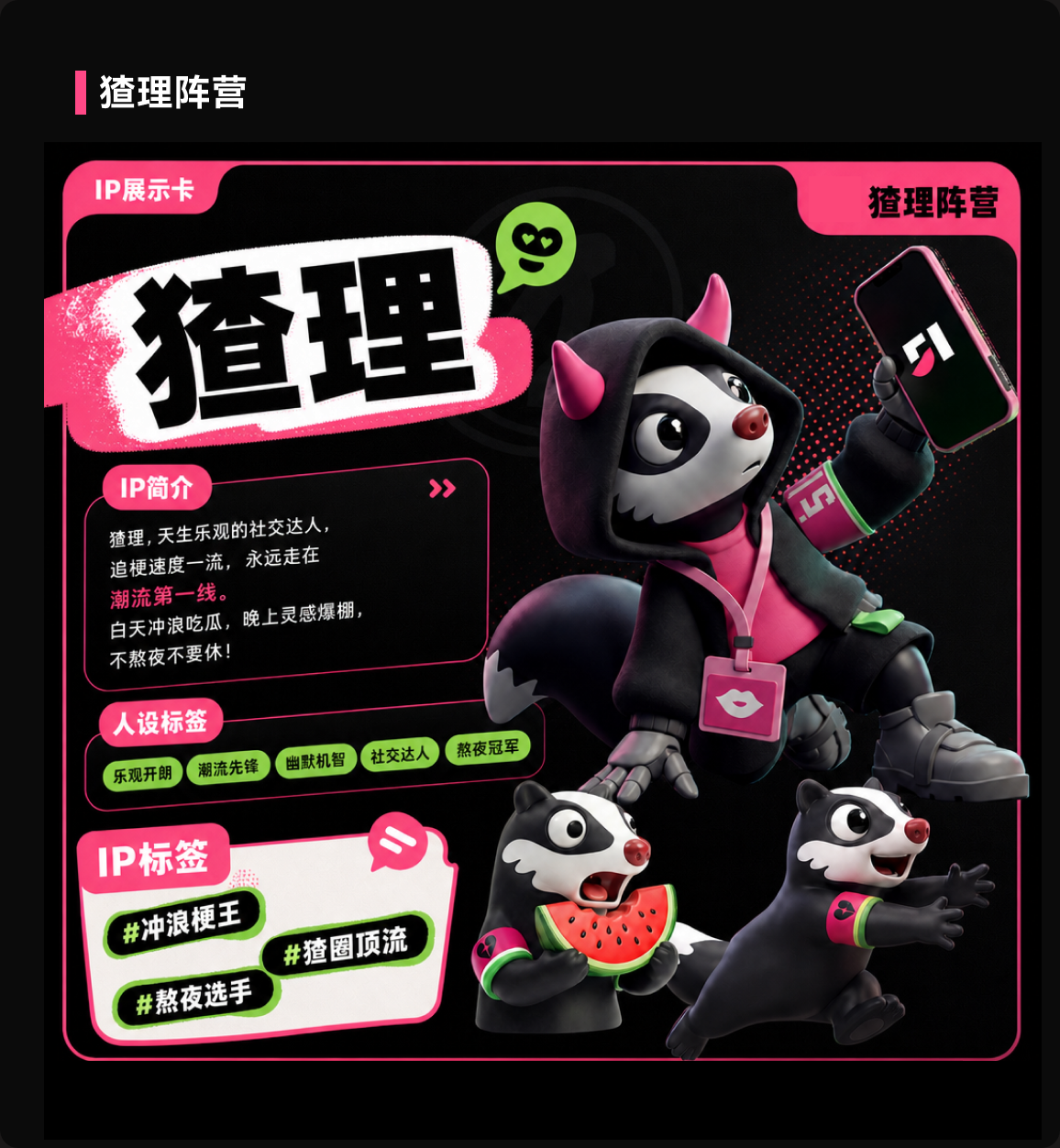猹理阵营 IP 卡