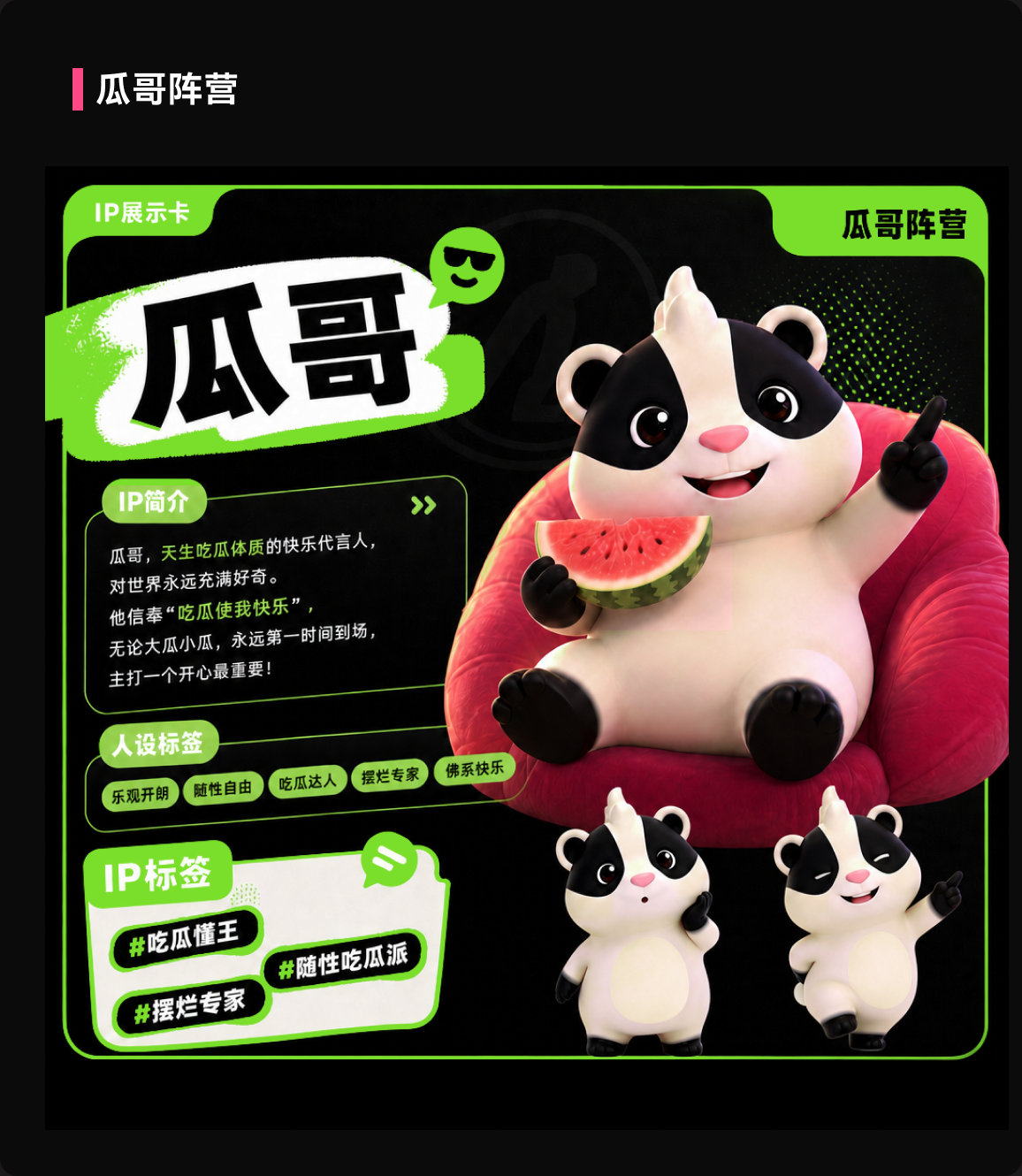 瓜哥阵营 IP 卡